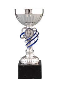 Cupe Sportive CE 19
